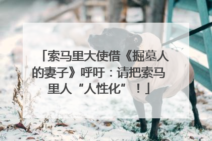 索马里大使借《掘墓人的妻子》呼吁：请把索马里人“人性化”！