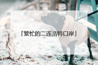 繁忙的二连浩特口岸