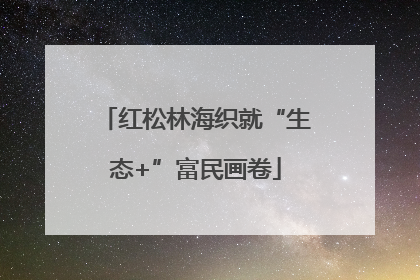 红松林海织就“生态+”富民画卷