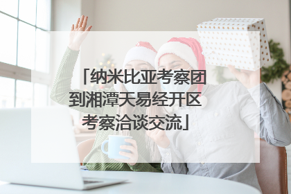 纳米比亚考察团到湘潭天易经开区考察洽谈交流