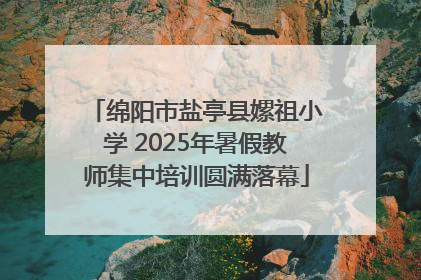 绵阳市盐亭县嫘祖小学 2025年暑假教师集中培训圆满落幕
