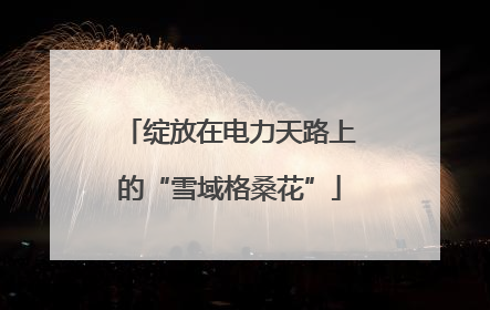 绽放在电力天路上的“雪域格桑花”