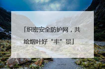 织密安全防护网，共绘烟叶好“丰”景