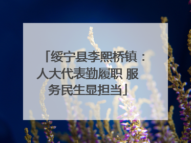 绥宁县李熙桥镇：人大代表勤履职 服务民生显担当