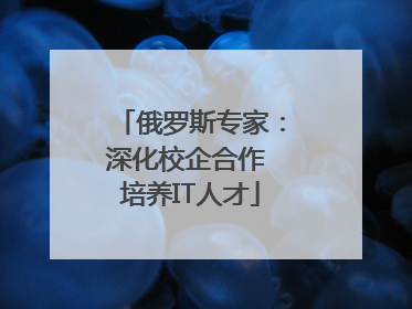 俄罗斯专家：深化校企合作 培养IT人才