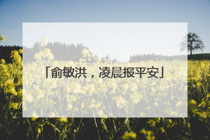 俞敏洪，凌晨报平安