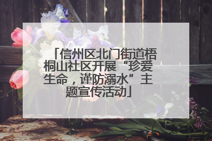 信州区北门街道梧桐山社区开展“珍爱生命，谨防溺水”主题宣传活动
