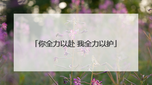 你全力以赴 我全力以护