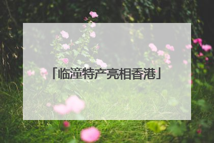 临潼特产亮相香港