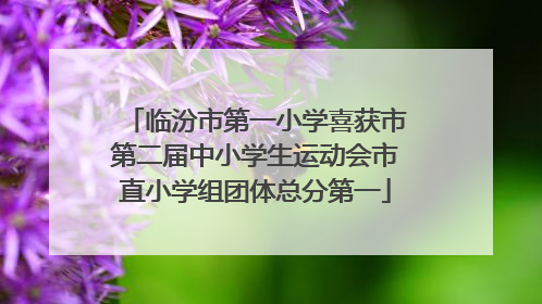 临汾市第一小学喜获市第二届中小学生运动会市直小学组团体总分第一