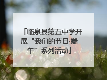 临泉县第五中学开展“我们的节日·端午”系列活动