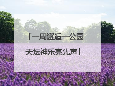 一周邂逅一公园 天坛神乐亮先声