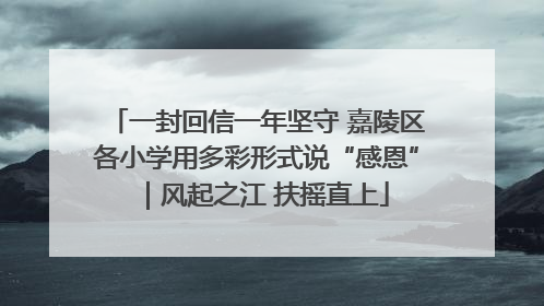 一封回信一年坚守 嘉陵区各小学用多彩形式说“感恩”｜风起之江 扶摇直上