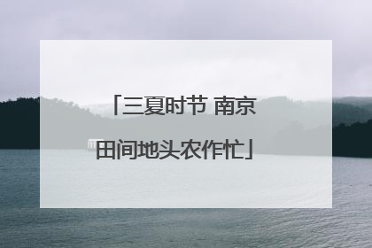 三夏时节 南京田间地头农作忙