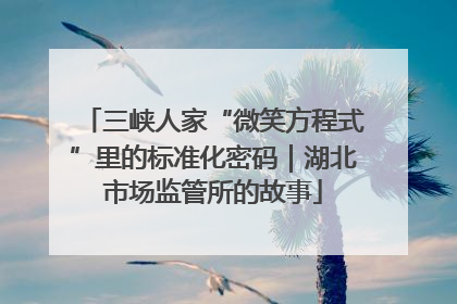 三峡人家“微笑方程式”里的标准化密码｜湖北市场监管所的故事