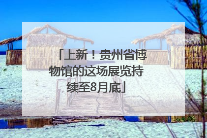 上新！贵州省博物馆的这场展览持续至8月底