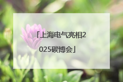 上海电气亮相2025碳博会