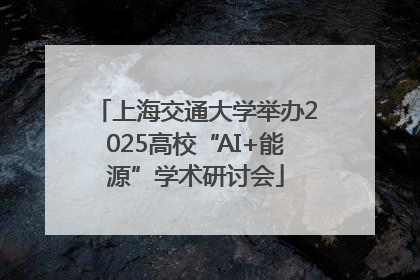 上海交通大学举办2025高校“AI+能源”学术研讨会