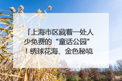 上海市区藏着一处人少免费的“童话公园”！绣球花海、金色秘境……地铁直达→