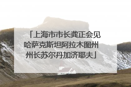 上海市市长龚正会见哈萨克斯坦阿拉木图州州长苏尔丹加济耶夫