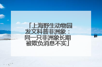 上海野生动物园发文科普非洲象：同一只非洲象长期被欺负消息不实