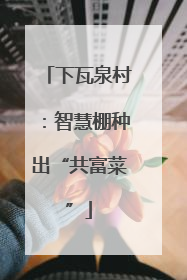 下瓦泉村：智慧棚种出“共富菜”