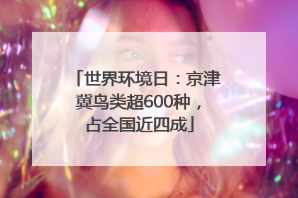 世界环境日：京津冀鸟类超600种，占全国近四成