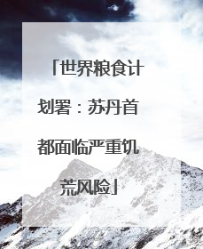 世界粮食计划署：苏丹首都面临严重饥荒风险
