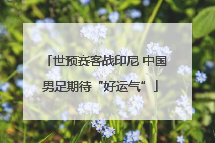 世预赛客战印尼 中国男足期待“好运气”
