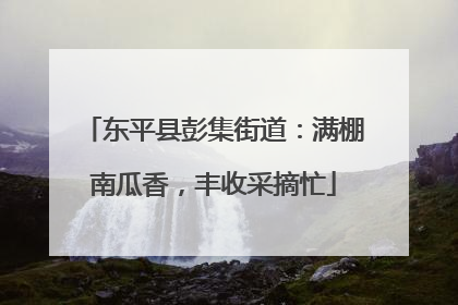 东平县彭集街道：满棚南瓜香，丰收采摘忙