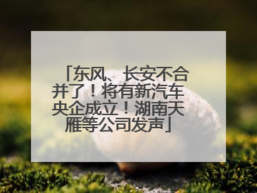 东风、长安不合并了！将有新汽车央企成立！湖南天雁等公司发声