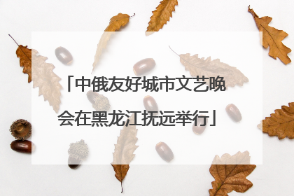 中俄友好城市文艺晚会在黑龙江抚远举行