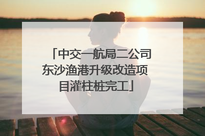 中交一航局二公司东沙渔港升级改造项目灌柱桩完工