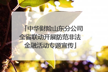 中华财险山东分公司全省联动开展防范非法金融活动专题宣传