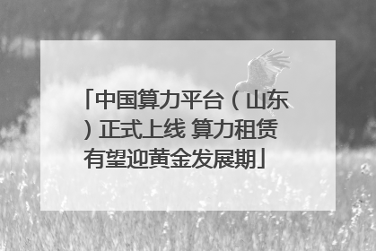 中国算力平台（山东）正式上线 算力租赁有望迎黄金发展期