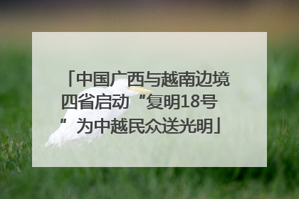 中国广西与越南边境四省启动“复明18号”为中越民众送光明