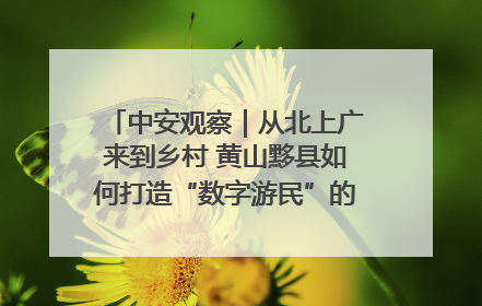 中安观察｜从北上广来到乡村 黄山黟县如何打造“数字游民”的“桃花源”？