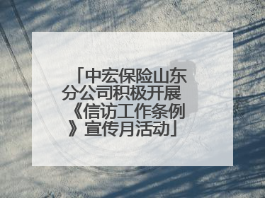 中宏保险山东分公司积极开展《信访工作条例》宣传月活动