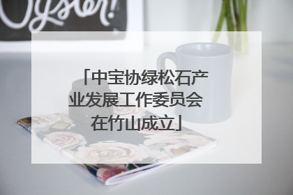 中宝协绿松石产业发展工作委员会在竹山成立
