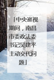 中央巡视期间，南昌市委政法委书记吴建平主动交代问题