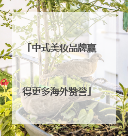 中式美妆品牌赢得更多海外赞誉