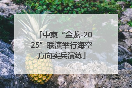 中柬“金龙-2025”联演举行海空方向实兵演练