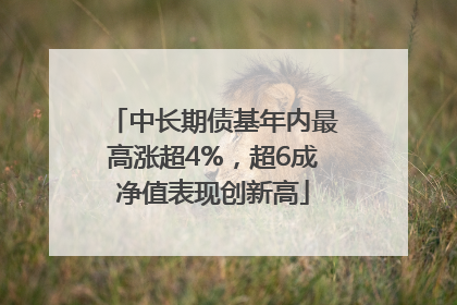 中长期债基年内最高涨超4%，超6成净值表现创新高