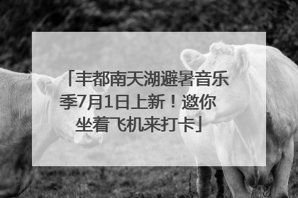 丰都南天湖避暑音乐季7月1日上新！邀你坐着飞机来打卡