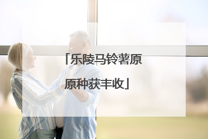 乐陵马铃薯原原种获丰收