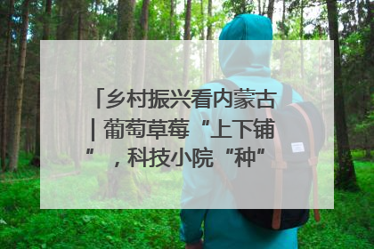 乡村振兴看内蒙古｜葡萄草莓“上下铺”，科技小院“种”出三倍效益
