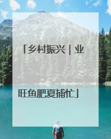 乡村振兴｜业旺鱼肥夏捕忙