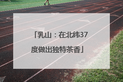 乳山：在北纬37度做出独特茶香