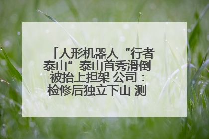 人形机器人“行者泰山”泰山首秀滑倒被抬上担架 公司：检修后独立下山 测试就是为暴露问题