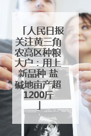 人民日报关注黄三角农高区种粮大户：用上新品种 盐碱地亩产超1200斤